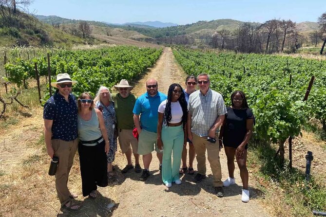 Rhodes Island Day Tour With Wine Tasting and Lunch