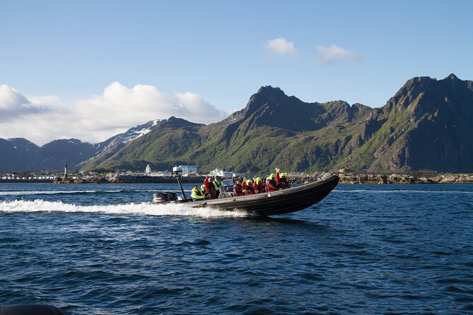 RIB Sea Eagle Safari Trollfjord Cruise