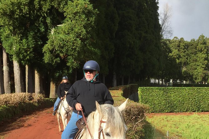 Ride a Volcano – Go to the Gardens in the Woods