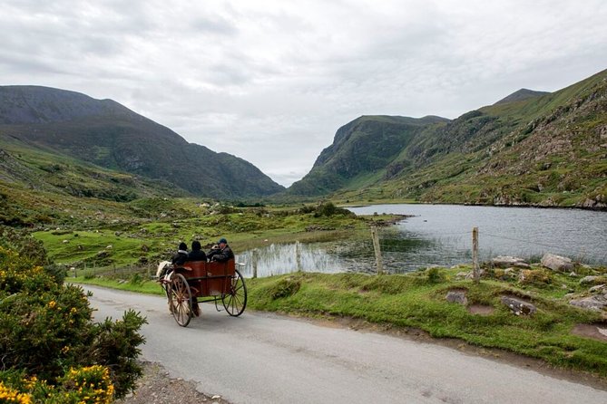 Ring of Kerry & Killarney Tour Departing From Cork City. Guided. Full Day. - Good To Know
