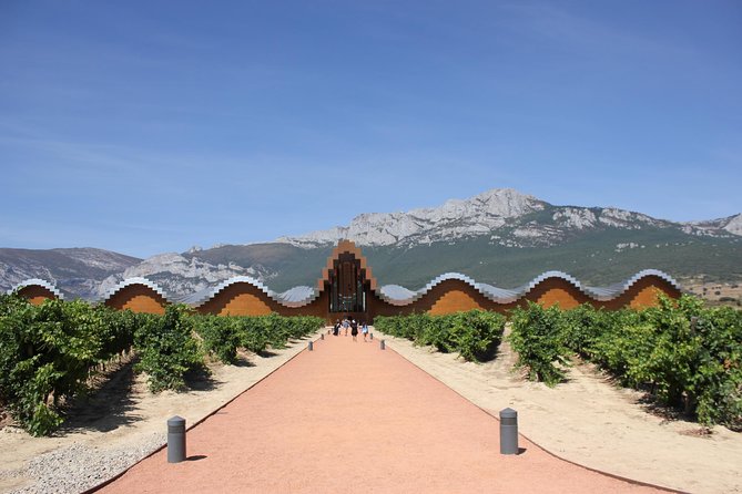 Rioja Full Experience Tour From San Sebastian With Lunch - Tour Overview and Inclusions