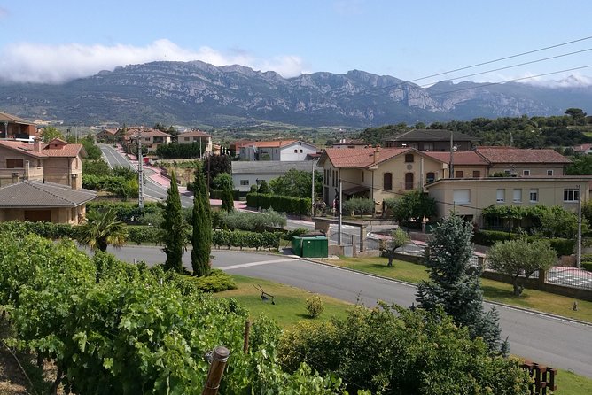 Rioja Winery Private Trip  – San Sebastian