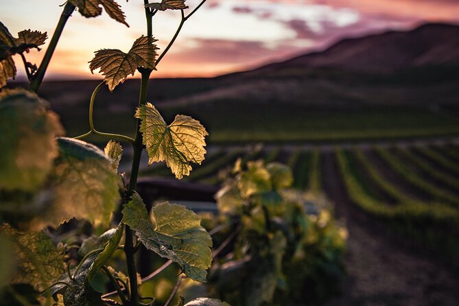 Rioja With Guided Visits to Wineries