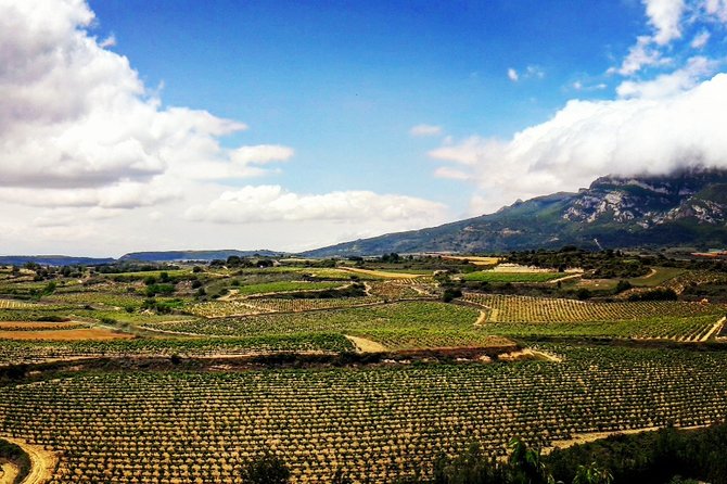 Riojas Top Wines Tasting Private Tour