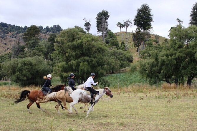 River Valley Stables – Burn The Breeze, Half Day Horse Ride For Riders