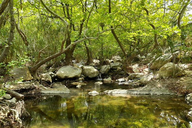 Riverbank Adventure in Naxos (Kinidaros – Eggares)