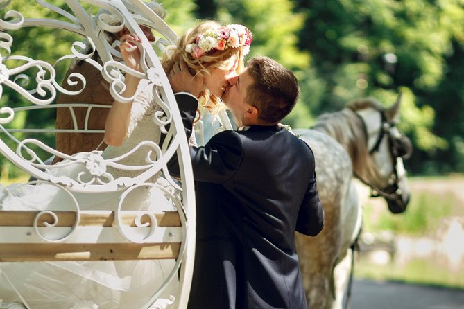Romantic/Proposal Central Park Carriage Tour (Up to 4 Adults) - Experience Details