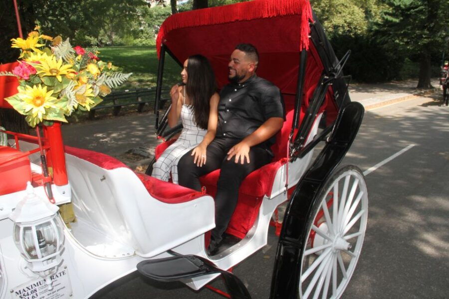 Romantic/Proposal Central Park Carriage Tour Up to 4 Adults - Good To Know