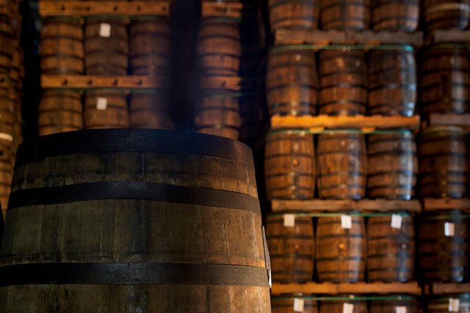 Ron Barcelo Anejo Experience Factory Tour - Overview of the Ron Barcelo Anejo Experience
