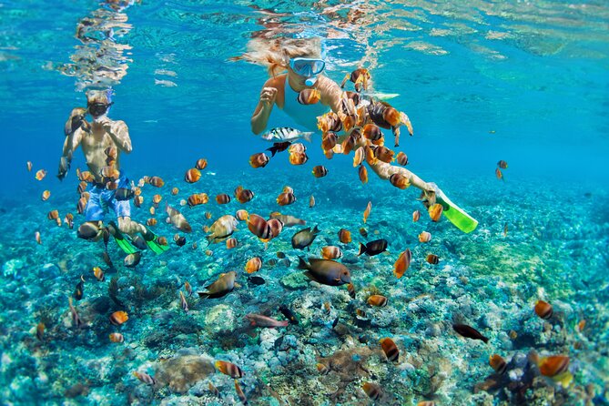 Rose Island Snorkel Tour! Four Hour Motorboat Tour to Rose Island Beach