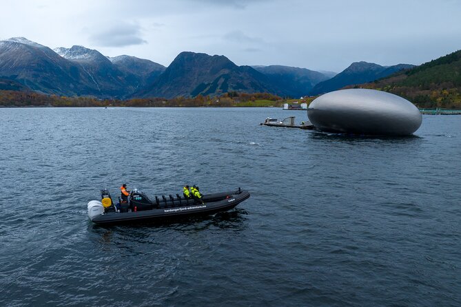 Rosendal RIB Adventure Tour Around Hardangerfjord Islands