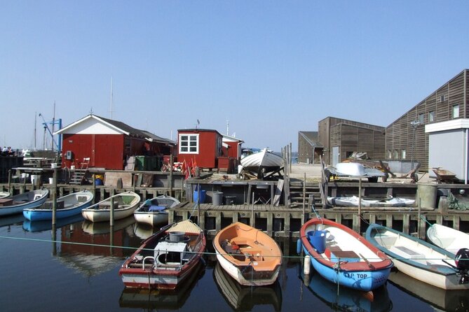 Roskilde Half-Day Private Tour From Copenhagen - Good To Know