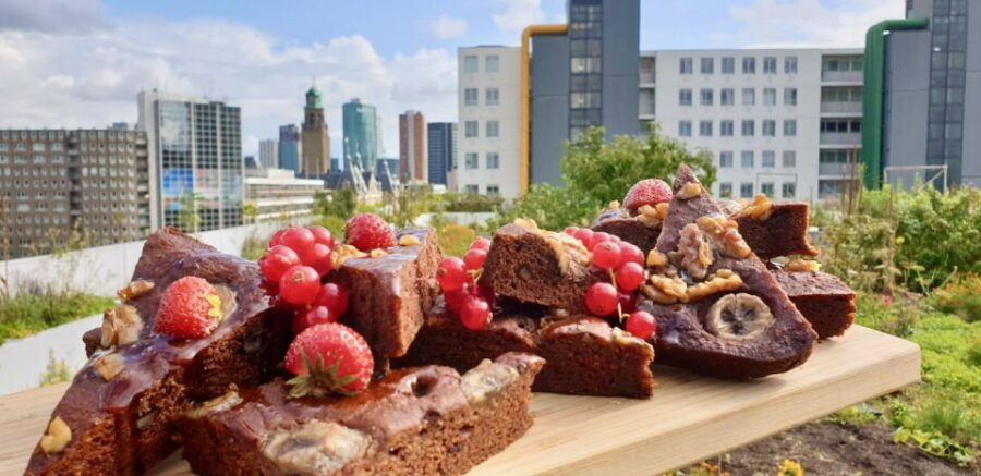 Rotterdam: Food Tour by Bike - Good To Know