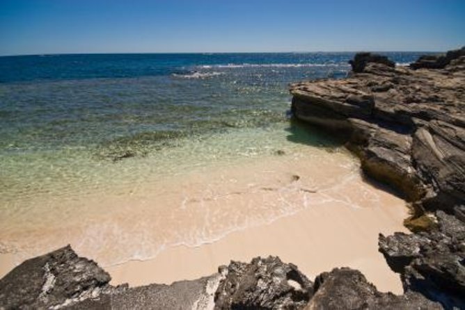 Rottnest Island From Perth or Fremantle With Wildlife Cruise
