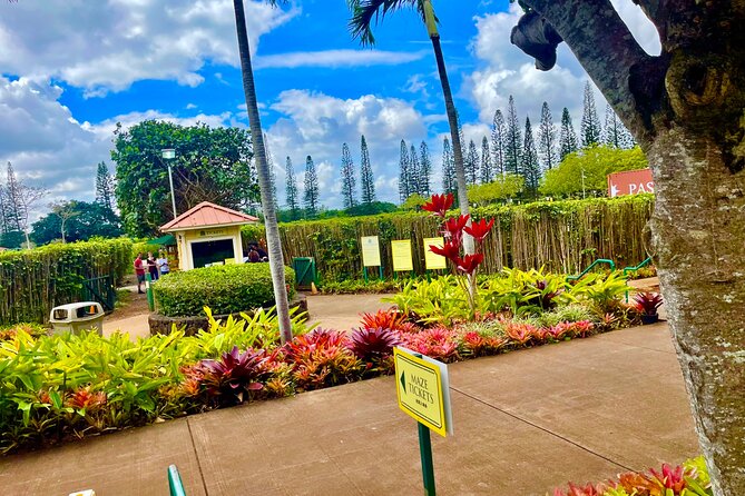 Roundtrip Shuttle From Waikiki to Dole Plantation & Haleiwa Town