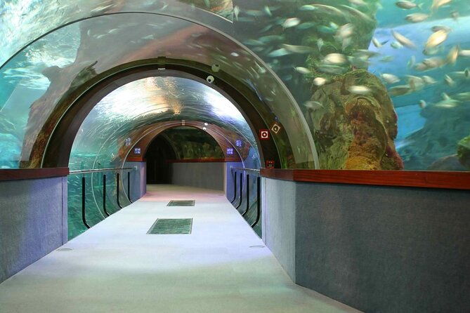 Route Through the City of Turia Valencia in Tuk-Tuk - Good To Know