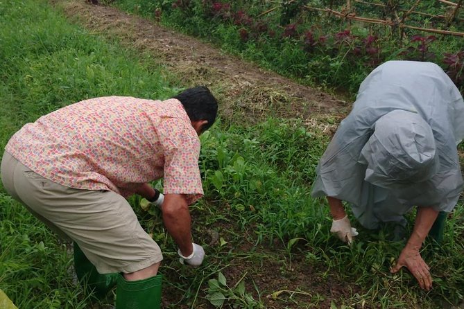 Rural Hanoi Culture Farm Trip