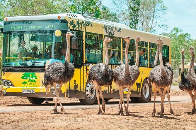 Safari Phu Quoc Ticket With Roundtrip Transfer - Price and Value
