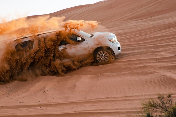 Safari With BBQ Dinner - Good To Know