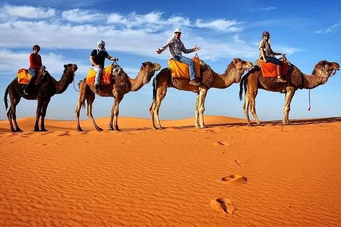 Sahara Erg Chebbi Overnight Camel Excursion - Merzouga