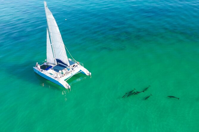 Sail, Snorkel, Kayak, Dolphins, and Lunch With Honest Eco - Good To Know