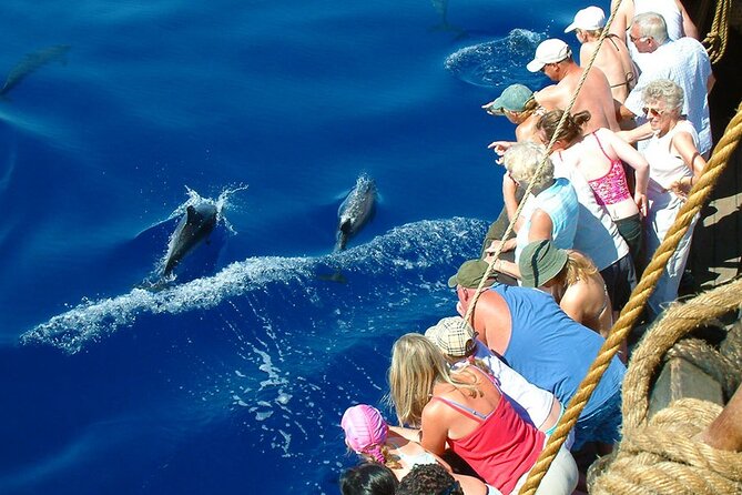 Sail Turkeys Mediterranean Coast on This Full-Day Trip  - Antalya - Overview and Experience
