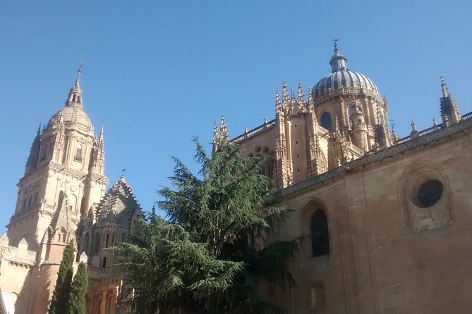 3 Best Guided Tours In Salamanca
