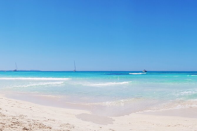 Salobrar Natural Park, Es Trenc Beach - Good To Know