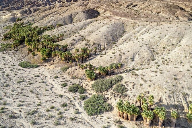 San Andreas Fault Jeep Tour From Palm Desert - Good To Know