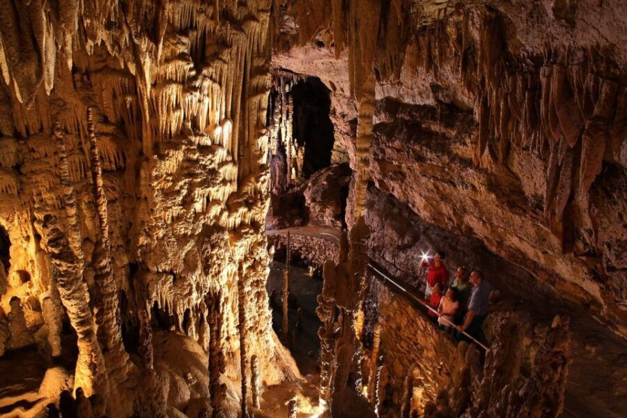 San Antonio: Go City Explorer Pass With 15 Attractions - Good To Know