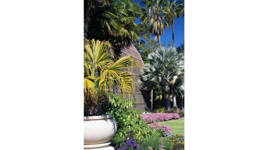 San Diego Botanical Garden Entry Ticket and Transportation - Good To Know