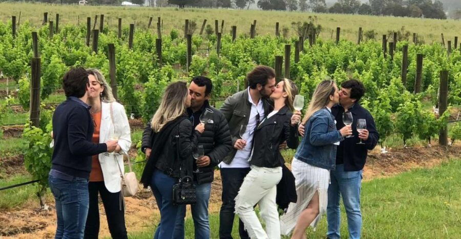 San Francisco: Napa Valley Winery Tour With Tastings - Good To Know