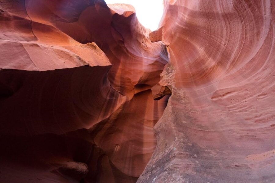 San Francisco: Yosemite, Las Vegas, Bryce & Zion 6-Day Trip - Good To Know