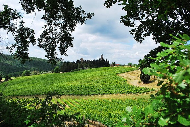 San Gimignano and Chianti Classico Wine and Food PRIVATE TOUR From Florence - Good To Know