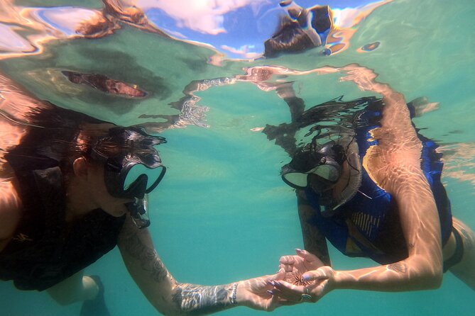 San Juan Guided Snorkel Tour