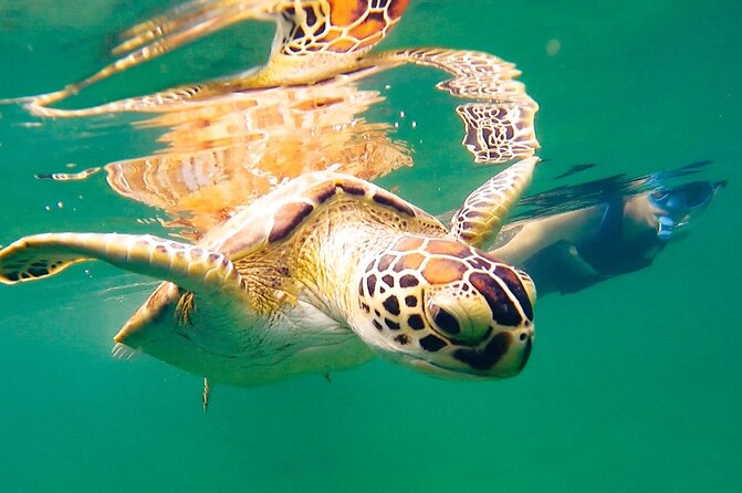San Juan Small-Group Adult Learn to Snorkel Experience  – Puerto Rico