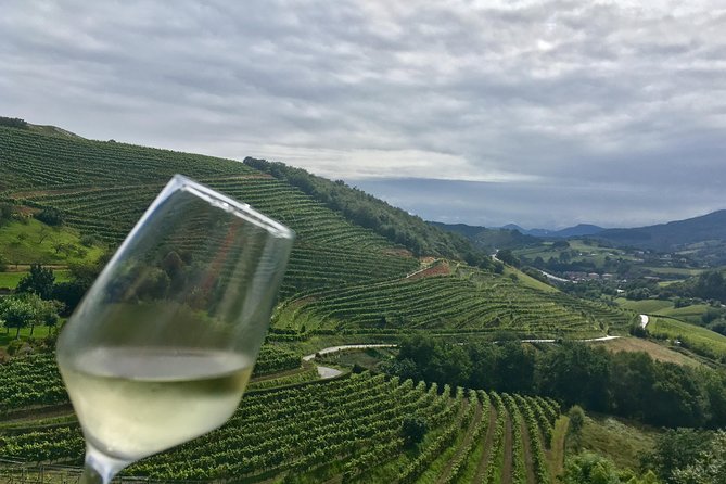 San Sebastián, Txakoli Winery and Coastal Villages. Maximum 4 Persons.