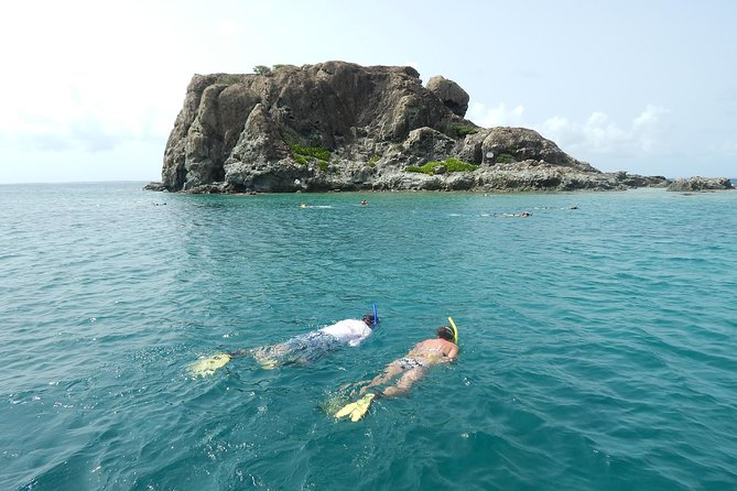 Sand Dollar Half Day Snorkel Trip - Sand Dollar Boat Features