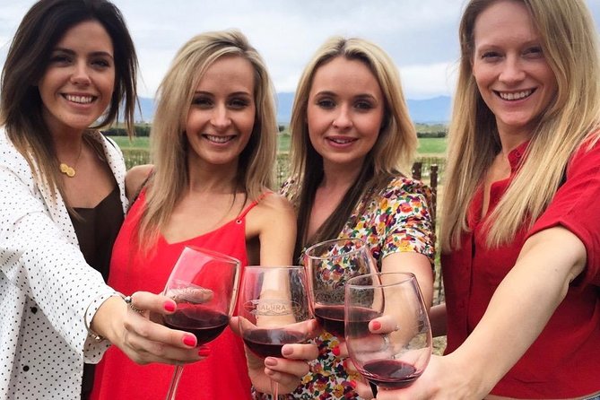 Santa Barbaras Original Afternoon Winery Tour