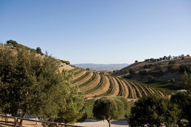 Santa Ynez Wine Country Shuttle
