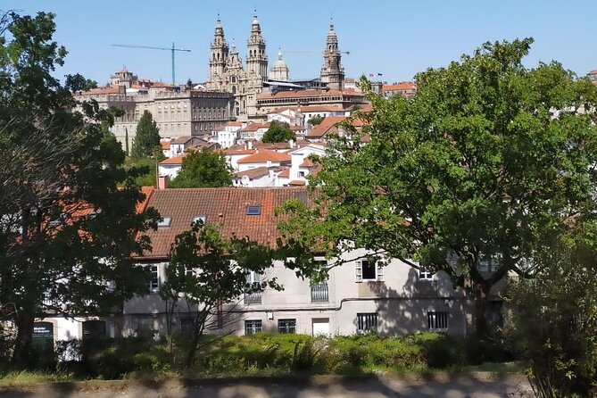 Santiago De Compostela: Walking Tour With a Local Guide