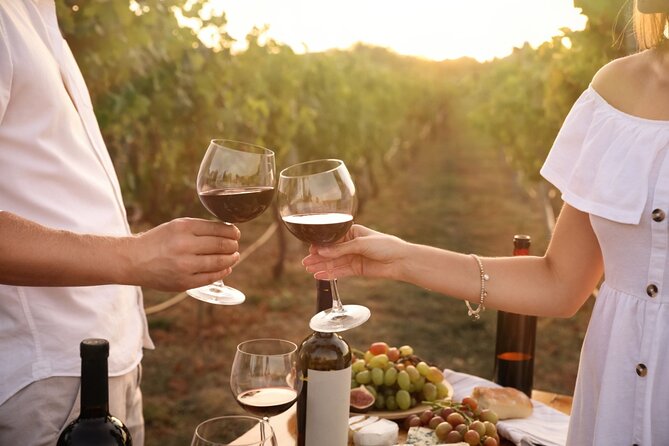 Best Wine Tours in Santillana Del Mar