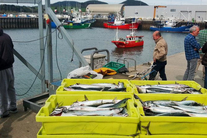 Santoña: Anchovy Factory & Boat Trip - Cancellation Policy for the Tour