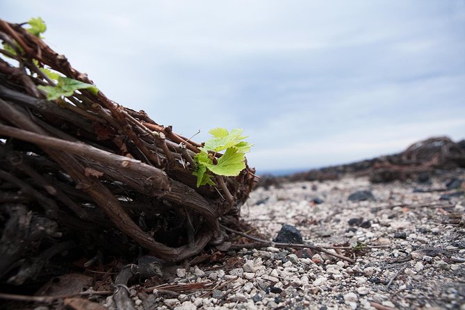 Santorini Photography & Wine Tasting Workshop - Tour Highlights