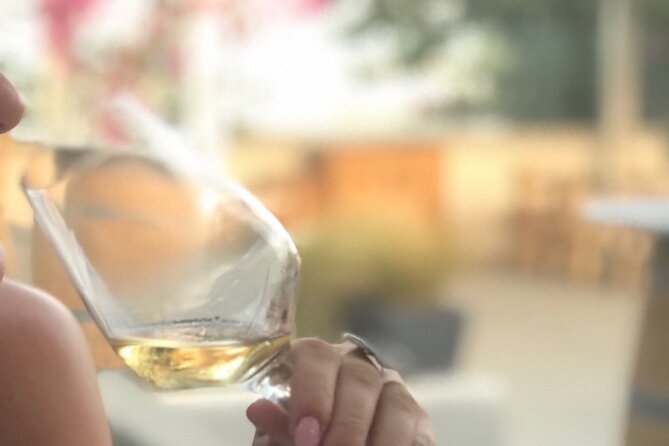 Santorini Wine Tasting and Traditional Cave Settlement Tour - Good To Know