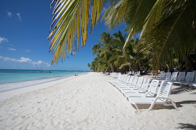 Saona Island Day Trip From Punta Cana With Lunch and Open Bar Included - Overview and Itinerary