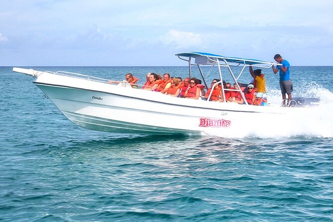 Saona Island Full Day Excursion From Punta Cana Catamaran Party