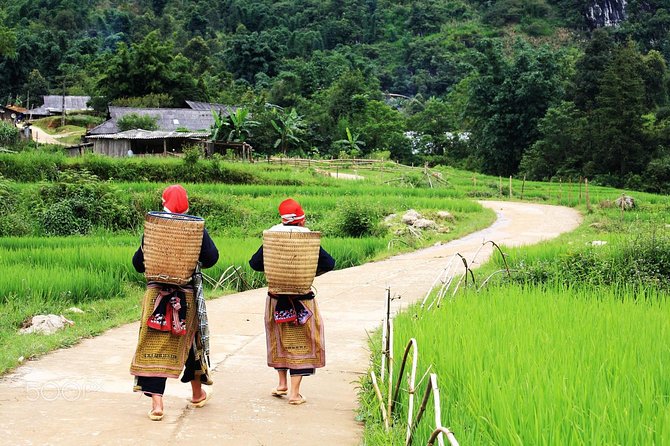 Sapa 2 Days 1 Night From Hanoi, Transfer By Luxury Van, Stay In Loca Homestay - Luxury Van Transfer
