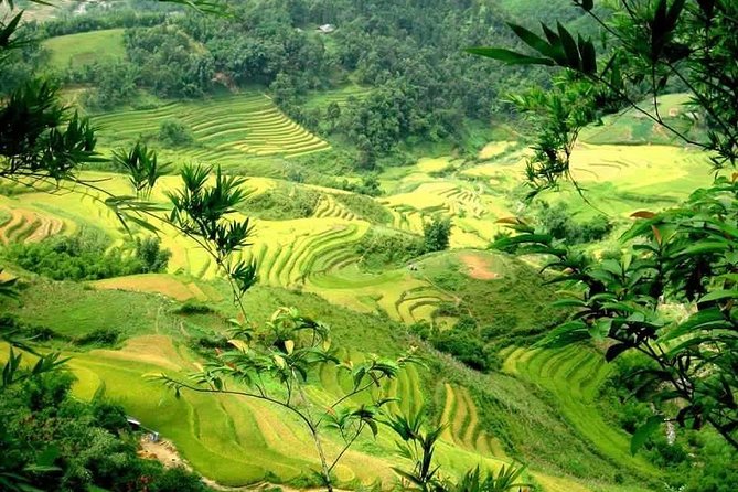 Sapa 4-Night, 3-Day Trekking Tour From Hanoi - Tour Details