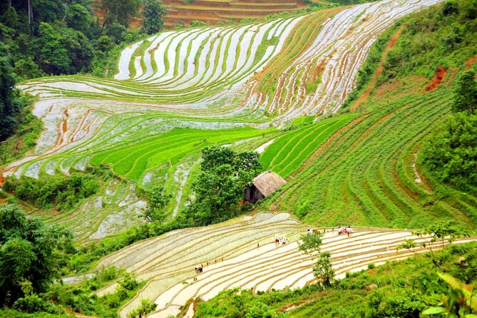 Sapa and Ha Giang Explore Luxury Tour 6 Days Full Options - Start Time Details